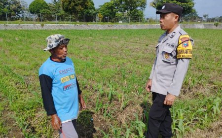 Polisi di Malang Turun ke Sawah, Bantu Warga Jaga Ketahanan Pangan