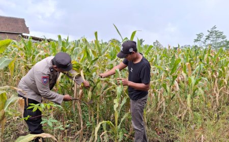 Jaga Stok Pangan, Polisi Malang Dampingi Petani Garap Lahan Produktif