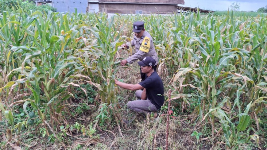 Polisi Malang Kawal Hasil Pertanian Warga agar Pangan Tetap Terjaga