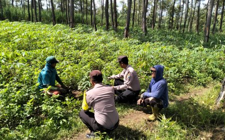 Polres Malang Kawal Pertanian Warga dari Desa hingga Distribusi