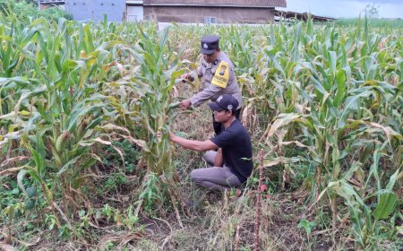 Polres Malang Perkuat Sinergi Desa untuk Dukung Pasokan Pangan