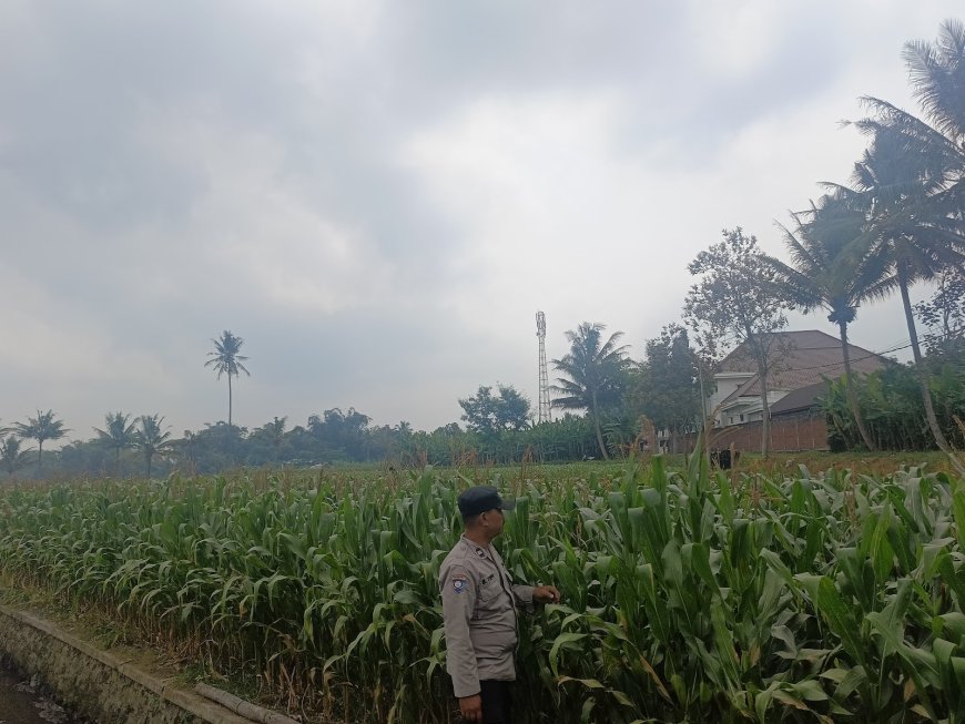 Polisi Rangkul Petani, Perkuat Sinergi Jaga Ketahanan Pangan