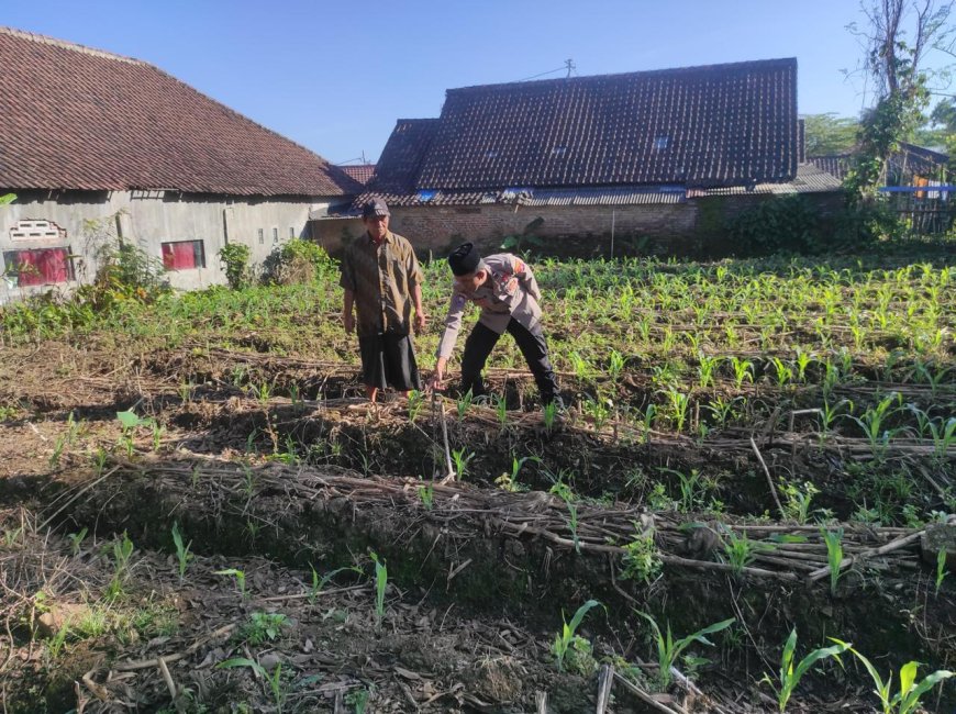 Polisi Kawal Lahan Produktif Warga, Polres Malang Dukung Ketahanan Pangan